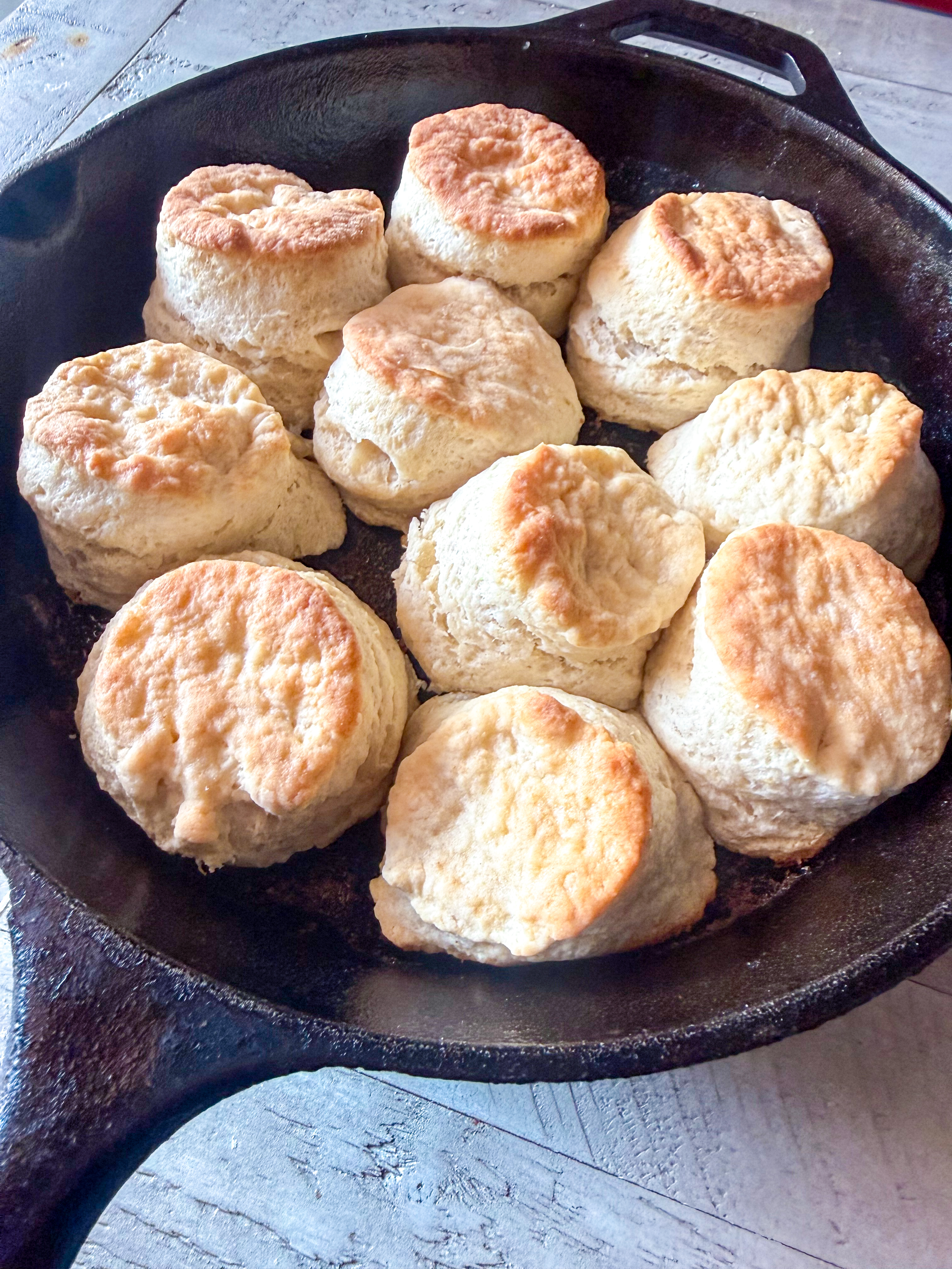 Easy Biscuit Recipe (Only 2 Ingredients)